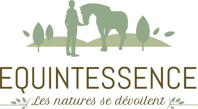 Equintessence
